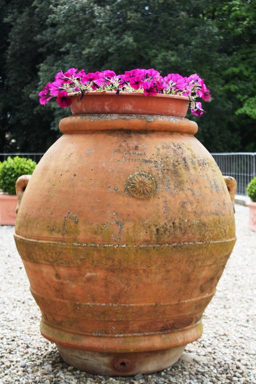 Villa Montarioso シエーナ エクステリア 写真