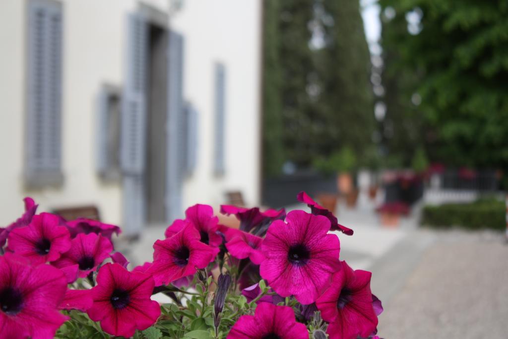 Villa Montarioso シエーナ エクステリア 写真
